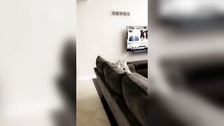 [223 of 587 Vids] Kendralust (Kendra Lust) OnlyFans Leaks Hottest MILF