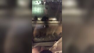 [515 of 587 Vids] Kendralust (Kendra Lust) OnlyFans Leaks Hottest MILF