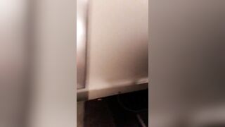 [60 of 587 Vids] Kendralust (Kendra Lust) OnlyFans Leaks Hottest MILF