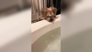 [102 of 258 Vids] imamberhahn (Amber Hahn) OnlyFans Leaks Nude Proud MAGA American