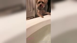 [102 of 258 Vids] imamberhahn (Amber Hahn) OnlyFans Leaks Nude Proud MAGA American