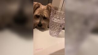 [102 of 258 Vids] imamberhahn (Amber Hahn) OnlyFans Leaks Nude Proud MAGA American