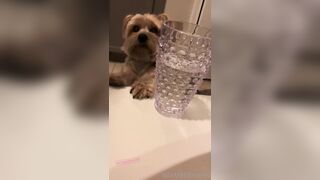 [102 of 258 Vids] imamberhahn (Amber Hahn) OnlyFans Leaks Nude Proud MAGA American