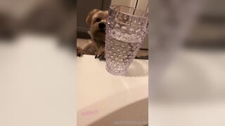 [102 of 258 Vids] imamberhahn (Amber Hahn) OnlyFans Leaks Nude Proud MAGA American