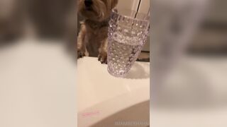 [102 of 258 Vids] imamberhahn (Amber Hahn) OnlyFans Leaks Nude Proud MAGA American