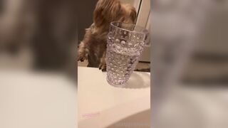 [102 of 258 Vids] imamberhahn (Amber Hahn) OnlyFans Leaks Nude Proud MAGA American