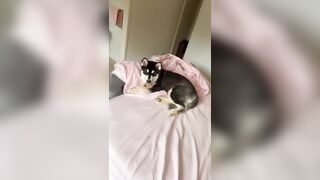 [1005 of 3935 Vids] Bree Louise (bree_louisexoxo aka breebbydance) OnlyFans Leaks Nude