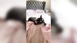 [1005 of 3935 Vids] Bree Louise (bree_louisexoxo aka breebbydance) OnlyFans Leaks Nude