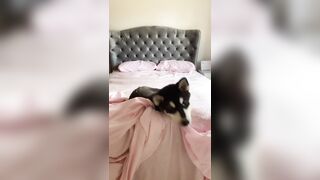 [1005 of 3935 Vids] Bree Louise (bree_louisexoxo aka breebbydance) OnlyFans Leaks Nude