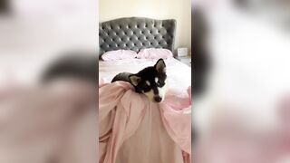 [1005 of 3935 Vids] Bree Louise (bree_louisexoxo aka breebbydance) OnlyFans Leaks Nude