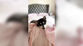 [1005 of 3935 Vids] Bree Louise (bree_louisexoxo aka breebbydance) OnlyFans Leaks Nude