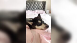 [1005 of 3935 Vids] Bree Louise (bree_louisexoxo aka breebbydance) OnlyFans Leaks Nude