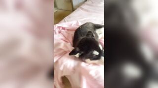 [1005 of 3935 Vids] Bree Louise (bree_louisexoxo aka breebbydance) OnlyFans Leaks Nude