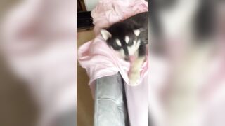 [1005 of 3935 Vids] Bree Louise (bree_louisexoxo aka breebbydance) OnlyFans Leaks Nude