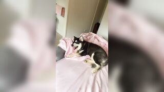 [1005 of 3935 Vids] Bree Louise (bree_louisexoxo aka breebbydance) OnlyFans Leaks Nude