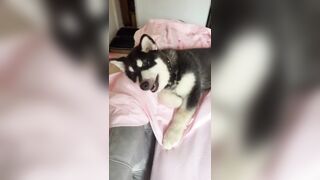 [1005 of 3935 Vids] Bree Louise (bree_louisexoxo aka breebbydance) OnlyFans Leaks Nude