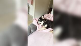 [1005 of 3935 Vids] Bree Louise (bree_louisexoxo aka breebbydance) OnlyFans Leaks Nude