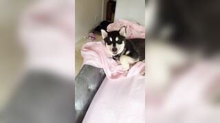 [1005 of 3935 Vids] Bree Louise (bree_louisexoxo aka breebbydance) OnlyFans Leaks Nude