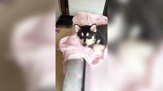 [1005 of 3935 Vids] Bree Louise (bree_louisexoxo aka breebbydance) OnlyFans Leaks Nude