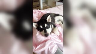 [1005 of 3935 Vids] Bree Louise (bree_louisexoxo aka breebbydance) OnlyFans Leaks Nude