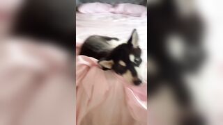 [1005 of 3935 Vids] Bree Louise (bree_louisexoxo aka breebbydance) OnlyFans Leaks Nude