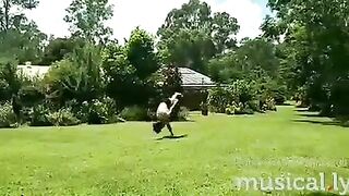 [1042 of 3935 Vids] Bree Louise (bree_louisexoxo aka breebbydance) OnlyFans Leaks Nude