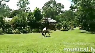 [1042 of 3935 Vids] Bree Louise (bree_louisexoxo aka breebbydance) OnlyFans Leaks Nude