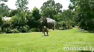 [1042 of 3935 Vids] Bree Louise (bree_louisexoxo aka breebbydance) OnlyFans Leaks Nude