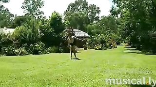 [1042 of 3935 Vids] Bree Louise (bree_louisexoxo aka breebbydance) OnlyFans Leaks Nude