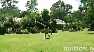 [1042 of 3935 Vids] Bree Louise (bree_louisexoxo aka breebbydance) OnlyFans Leaks Nude