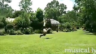 [1042 of 3935 Vids] Bree Louise (bree_louisexoxo aka breebbydance) OnlyFans Leaks Nude