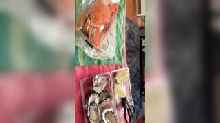 [1095 of 3935 Vids] Bree Louise (bree_louisexoxo aka breebbydance) OnlyFans Leaks Nude