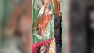 [1095 of 3935 Vids] Bree Louise (bree_louisexoxo aka breebbydance) OnlyFans Leaks Nude