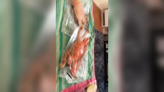 [1095 of 3935 Vids] Bree Louise (bree_louisexoxo aka breebbydance) OnlyFans Leaks Nude