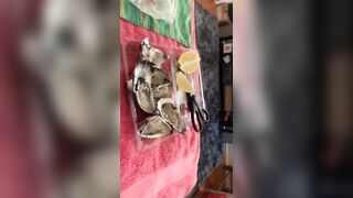 [1095 of 3935 Vids] Bree Louise (bree_louisexoxo aka breebbydance) OnlyFans Leaks Nude