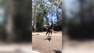 [1139 of 3935 Vids] Bree Louise (bree_louisexoxo aka breebbydance) OnlyFans Leaks Nude