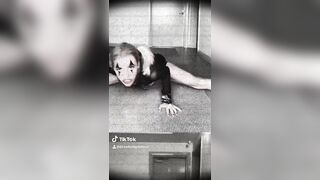 [1145 of 3935 Vids] Bree Louise (bree_louisexoxo aka breebbydance) OnlyFans Leaks Nude