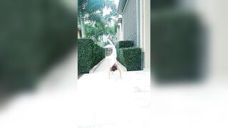 [1305 of 3935 Vids] Bree Louise (bree_louisexoxo aka breebbydance) OnlyFans Leaks Nude