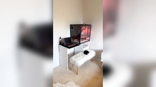 [1308 of 3935 Vids] Bree Louise (bree_louisexoxo aka breebbydance) OnlyFans Leaks Nude