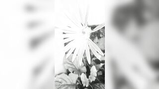 [1328 of 3935 Vids] Bree Louise (bree_louisexoxo aka breebbydance) OnlyFans Leaks Nude