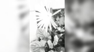 [1328 of 3935 Vids] Bree Louise (bree_louisexoxo aka breebbydance) OnlyFans Leaks Nude