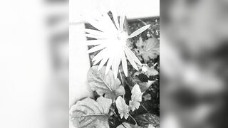 [1328 of 3935 Vids] Bree Louise (bree_louisexoxo aka breebbydance) OnlyFans Leaks Nude