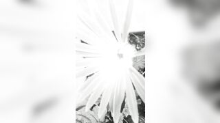 [1328 of 3935 Vids] Bree Louise (bree_louisexoxo aka breebbydance) OnlyFans Leaks Nude