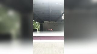 [1349 of 3935 Vids] Bree Louise (bree_louisexoxo aka breebbydance) OnlyFans Leaks Nude