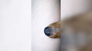 [1358 of 3935 Vids] Bree Louise (bree_louisexoxo aka breebbydance) OnlyFans Leaks Nude