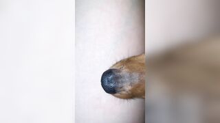 [1358 of 3935 Vids] Bree Louise (bree_louisexoxo aka breebbydance) OnlyFans Leaks Nude