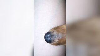 [1358 of 3935 Vids] Bree Louise (bree_louisexoxo aka breebbydance) OnlyFans Leaks Nude