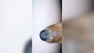 [1358 of 3935 Vids] Bree Louise (bree_louisexoxo aka breebbydance) OnlyFans Leaks Nude