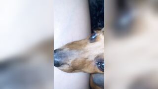 [1358 of 3935 Vids] Bree Louise (bree_louisexoxo aka breebbydance) OnlyFans Leaks Nude