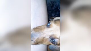 [1358 of 3935 Vids] Bree Louise (bree_louisexoxo aka breebbydance) OnlyFans Leaks Nude